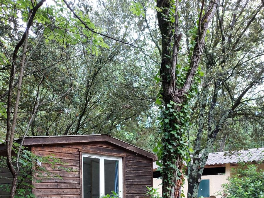 Chalet 2 personnes - CHALET PRET A CAMPER avec kitchenette / sans salle de bain 6