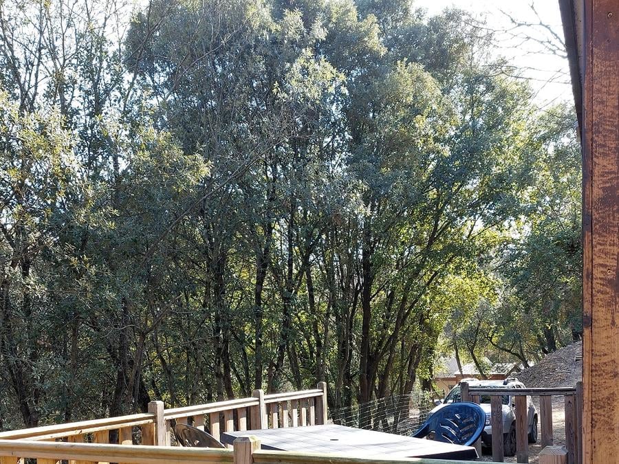 Chalet 2 personnes - Grand chalet 1/2 pers 3