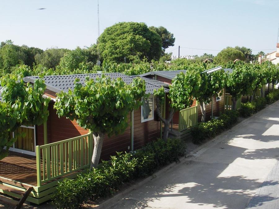 Bungalow 4 personnes - Morea 1