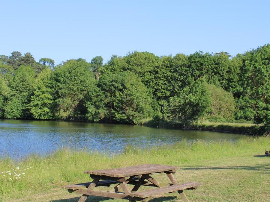 Chalet 2 personnes - Chalet pour 2 vue sur le lac 3