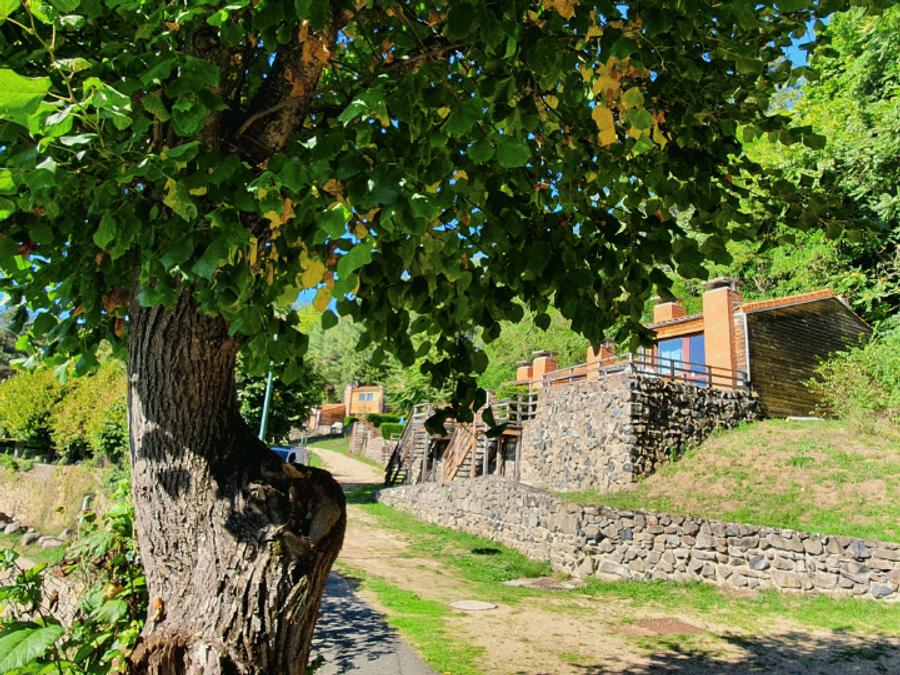 Résidence Olydea Vorey-sur-Arzon 3*