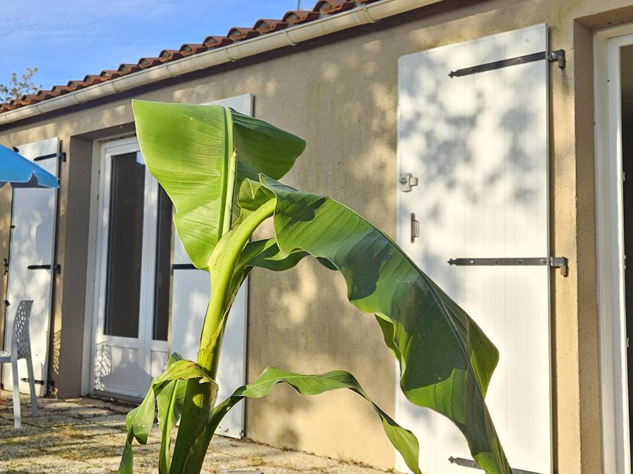 Maison 5 personnes - Cottage Confort 0