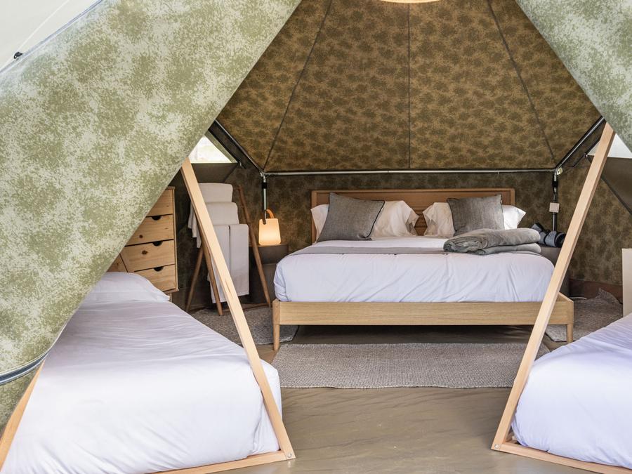 Tente 2 personnes - Tribe Tent 3