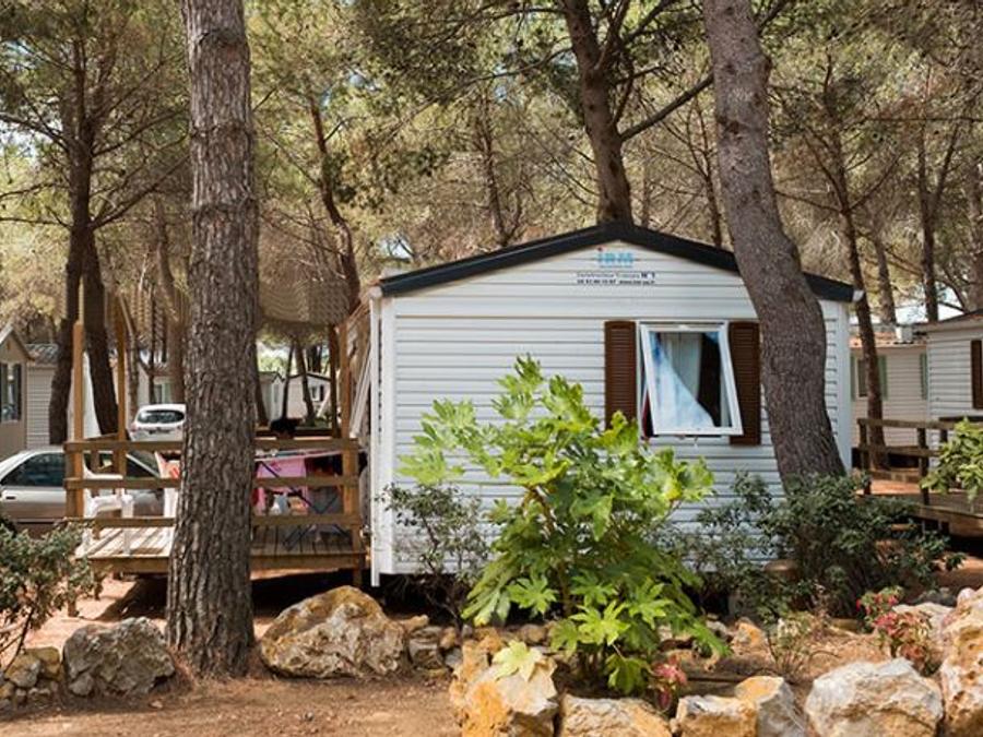 Mobilhome 4 personnes - Bambou + clim 1