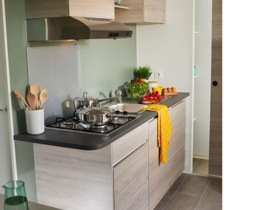 Mobilhome 10 personnes - TRIBU (2 locations face à face avec terrasse commune) 1