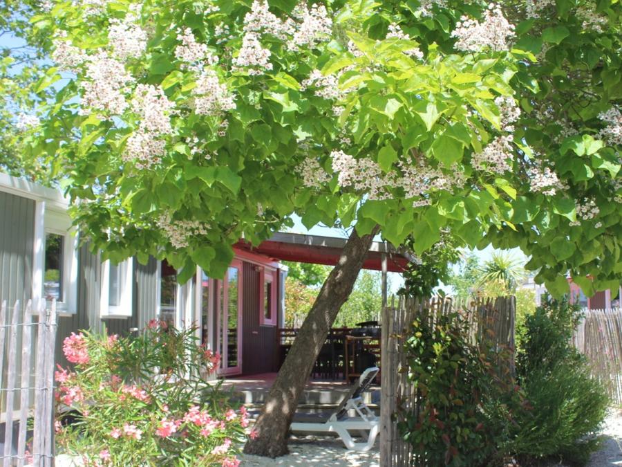 Mobilhome 6 personnes - Cottage Premium - 3 chambres - 2 salles de bains - Draps, serviettes, plancha, forfait ménage inclus 0