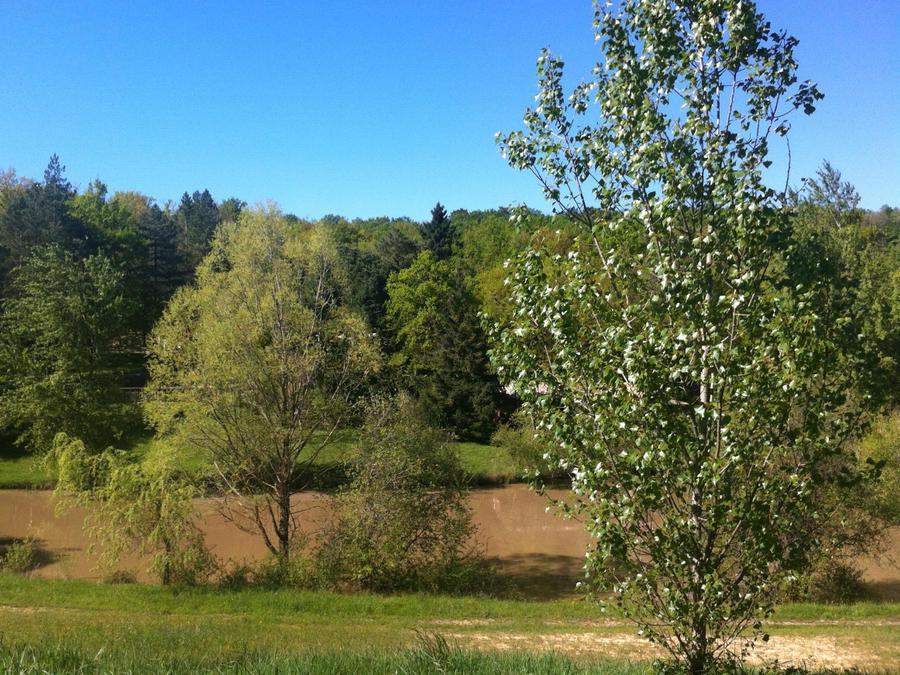 Chalet 6 personnes - CHARLAY 9