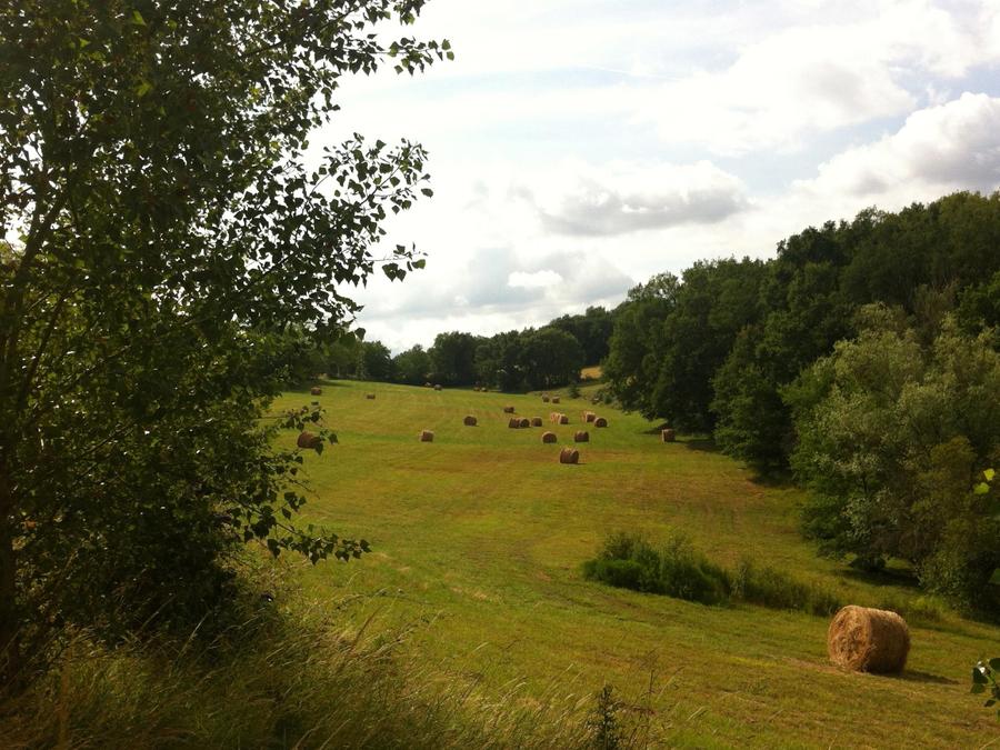 Chalet 4 personnes - FORESTER 9