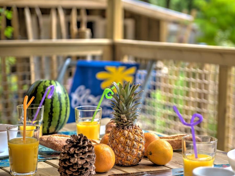 Lodge 5 personnes - Cosyflower 2ch -TV-plancha-terrasse couverte-28m² | CONFORT 3