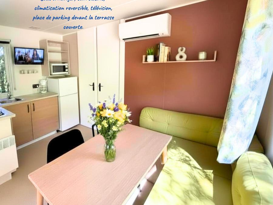 Mobilhome 11 personnes - COTTAGE PREMIUM TRIBU (5 ch) 6
