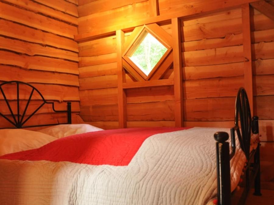 Unique 4 personnes - CABANE PERCHEE avec salle de bain et SPA 3