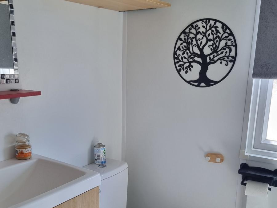 Mobilhome 6 personnes - Mobil-home PREMIUM Alizé 2 Chambres / 2 Salles de bains (4 Adultes Maxi + 2 Enfants de - 18 ans) 7