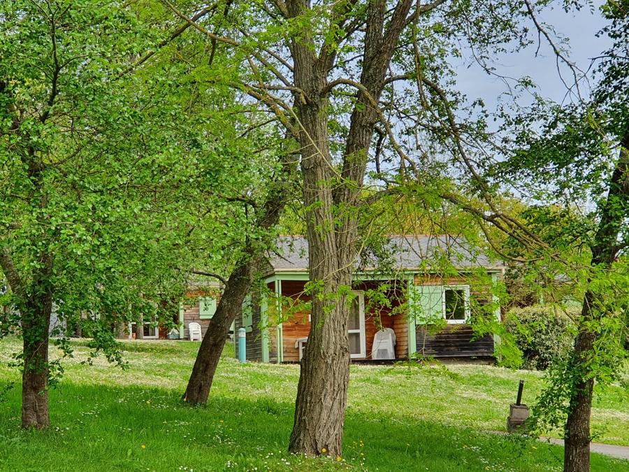 Chalet 4 personnes - Chalet de Flore PMR 2/4 pers 0