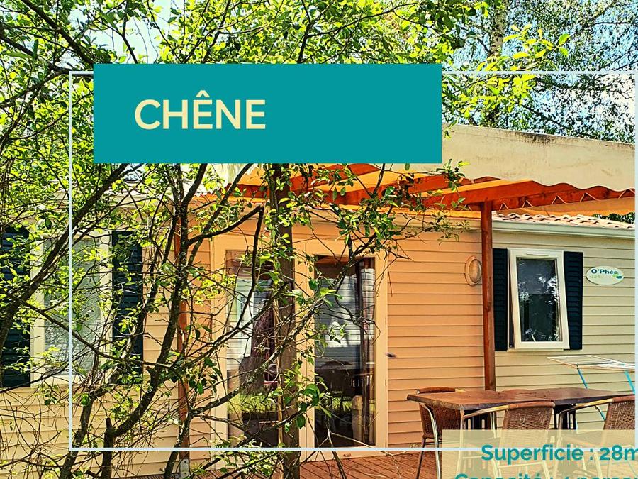 Mobilhome 6 personnes - LE CHENE 7