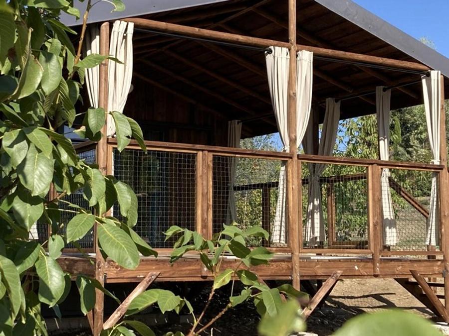 Chalet 5 personnes - CABANE PREMIUM SUR PILOTIS 0