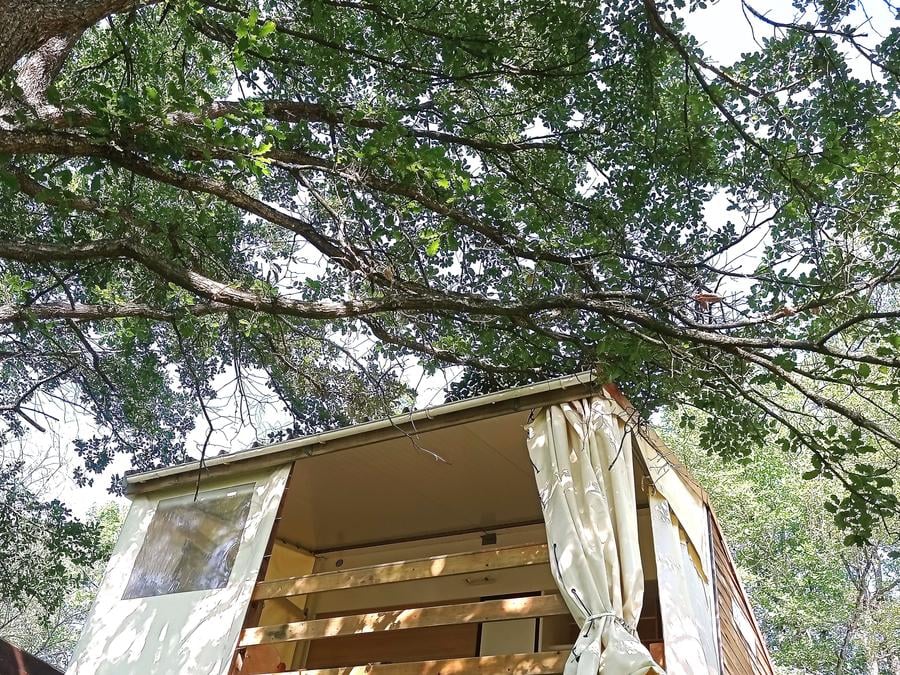 Tente en toile et en bois 4 personnes - Tithome sans sanitaire (dimanche à dimanche du 07/07/24 au 01/09/24) 4 pers. 6