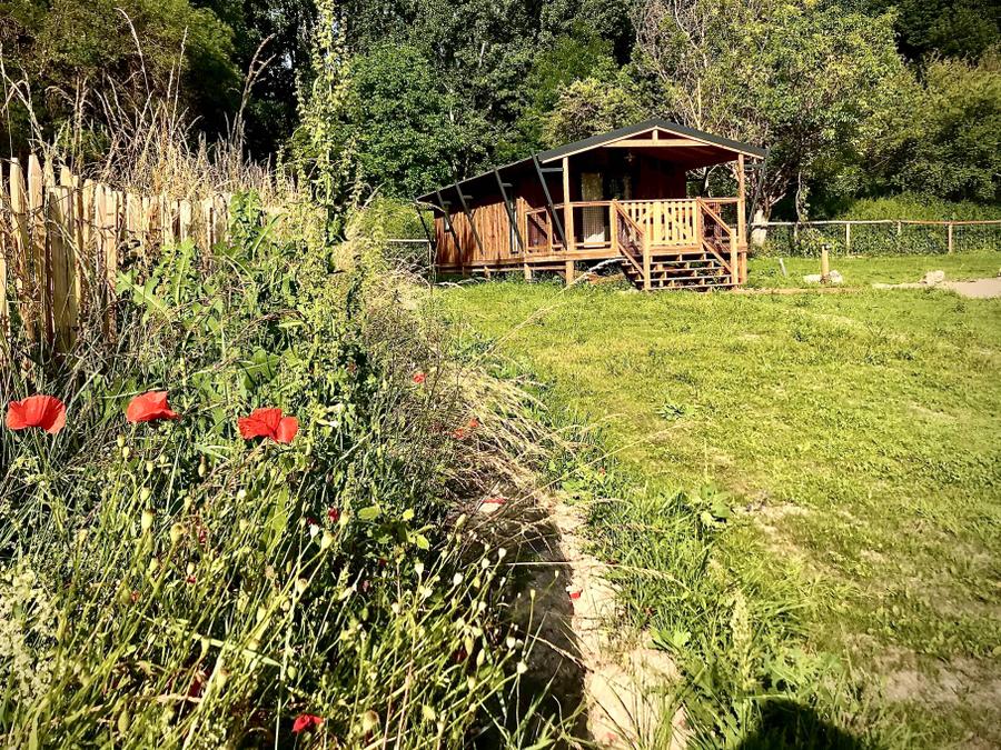 Bungalow 5 personnes - LODGE VIP PREMIUM 4/5 pers 5
