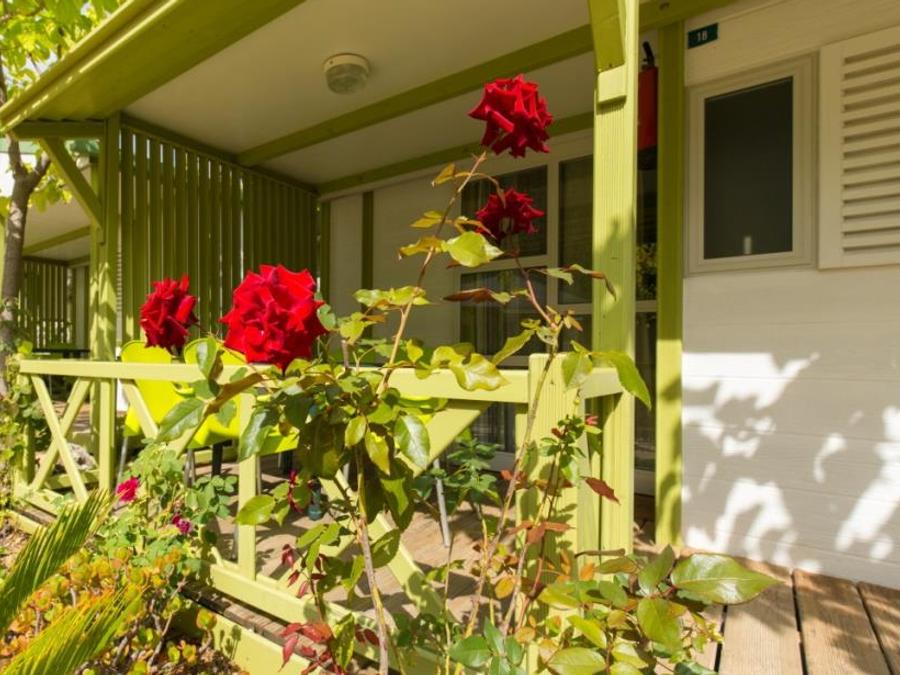 Bungalow 3 personnes - Bungalow B 0