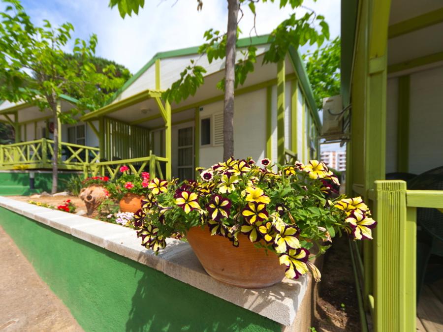 Bungalow 5 personnes - Vue sur Mer 1