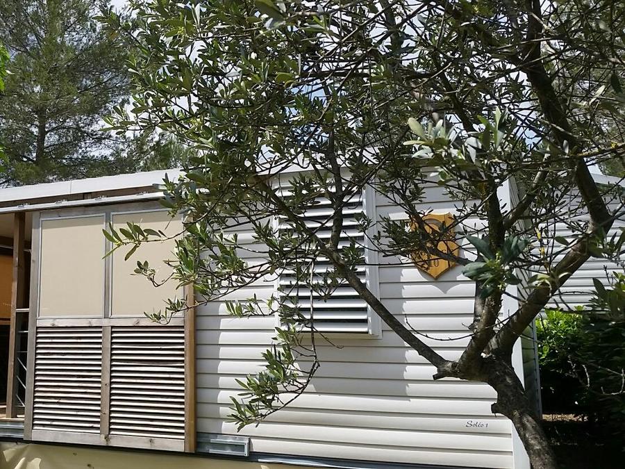 Mobilhome 2 personnes - Mobilhome CABANE - 1 chambre Climatisé 2 pers 1