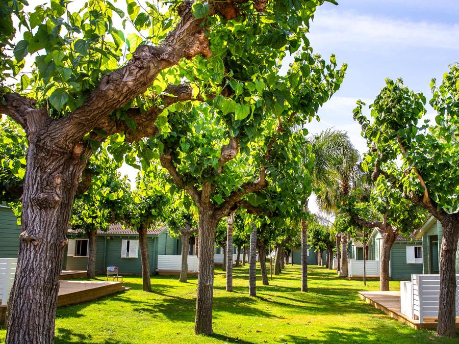 Bungalow 5 personnes - Mestral 7
