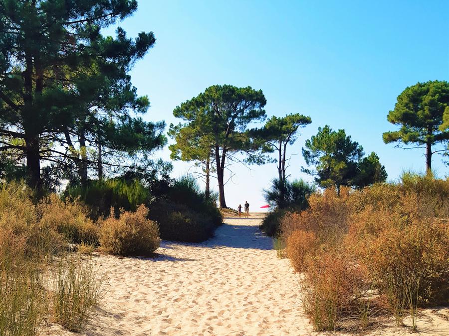 Camping Dolce Vita 3*