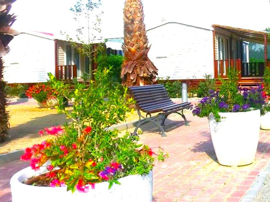 Mobilhome 6 personnes - PALMERES 6 pers 3