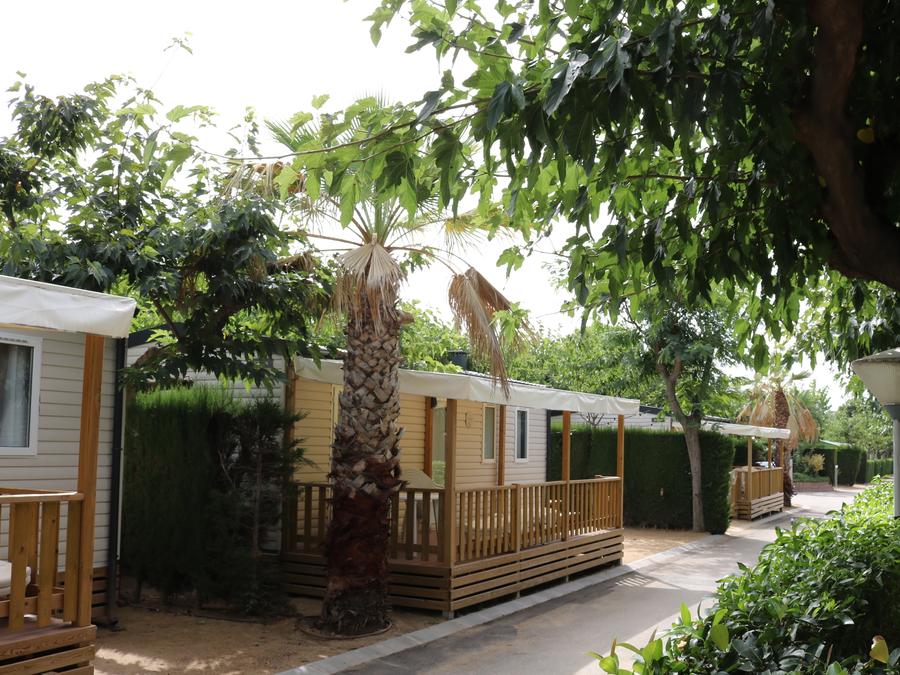 Mobilhome 6 personnes - PALMERES 6 pers 14