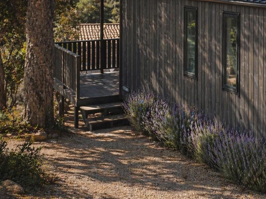 Lodge 4 personnes - Lodge Canopée 0