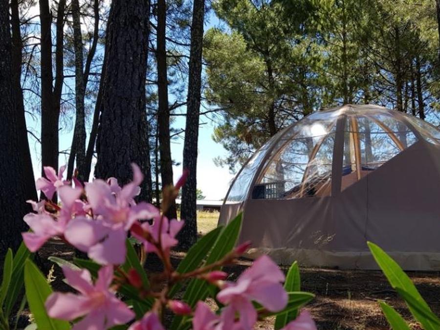 Tente 4 personnes - Bulle Etoile d'Ardèche 4P 2