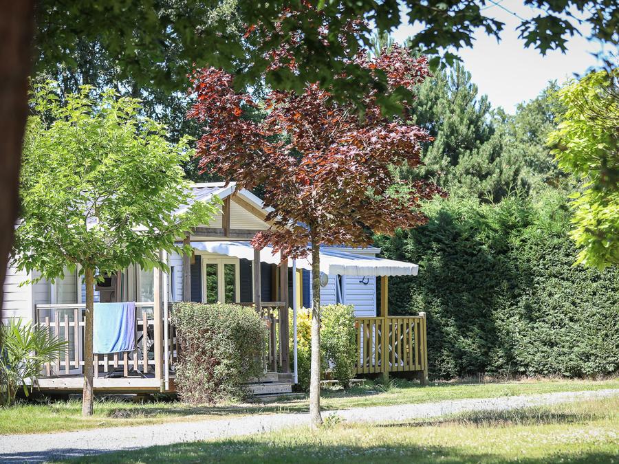 Mobilhome 6 personnes - Mobil-home Standard 24m² - 2 chambres (4/6 personnes) + terrasse semi-couverte 4/6 pers 1
