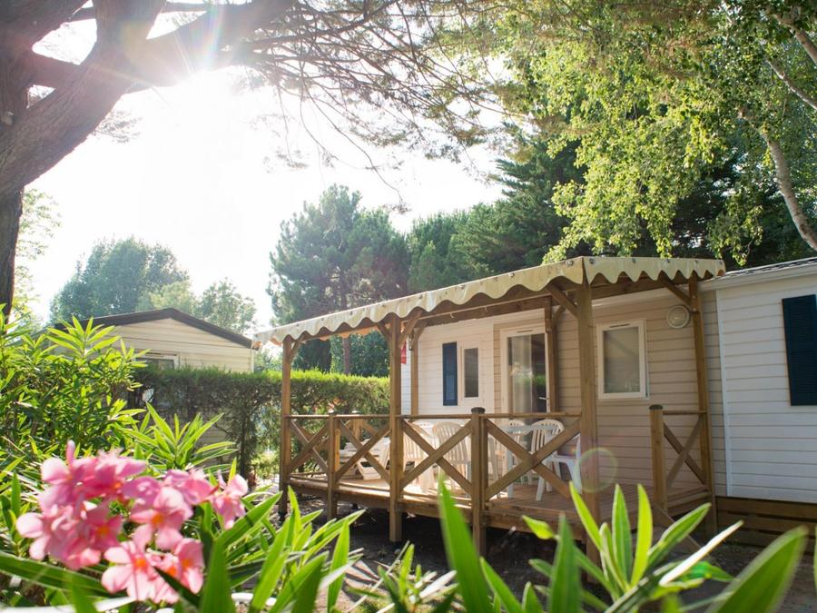 Bungalow 4 personnes - Cottage Famille Plus Premium 6