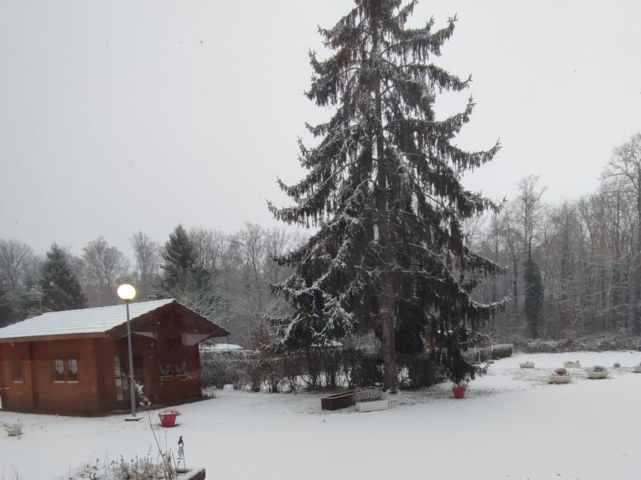 Chalet 4 personnes - Chalet CONFORT Alpina 28 m² (1 chambre + 1 chambre mezzanine) 2/4 pers 8
