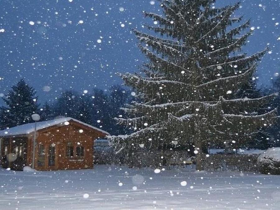 Chalet 4 personnes - Chalet CONFORT Alpina 28 m² (1 chambre + 1 chambre mezzanine) 2/4 pers 7