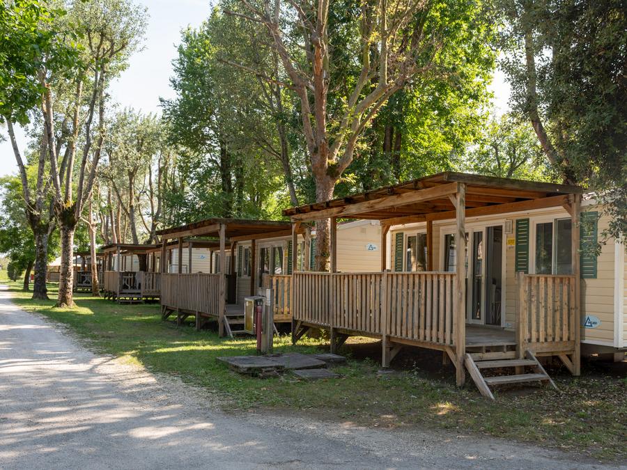 Mobilhome 4 personnes - Lodge Dog 8