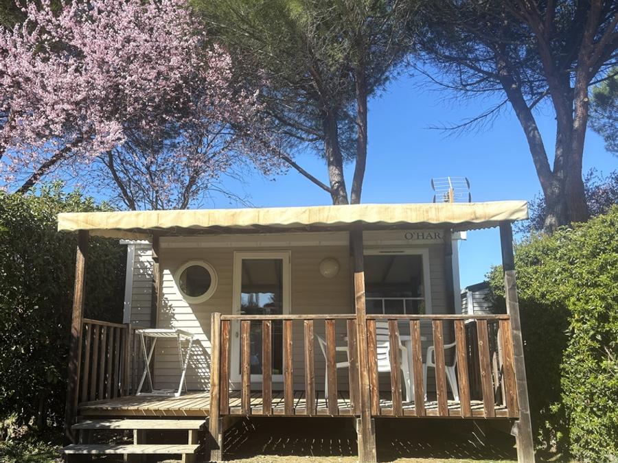 Mobilhome 2 personnes - Confort 18m² 1 chambre + terrasse couverte + climatisation + TV 7