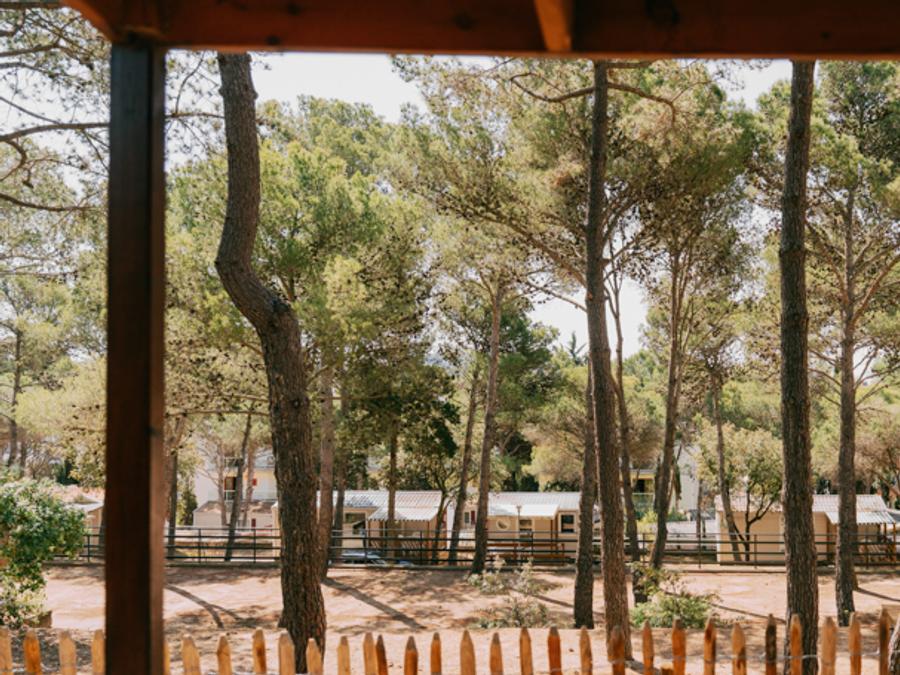 Tiny house 2 personnes 6