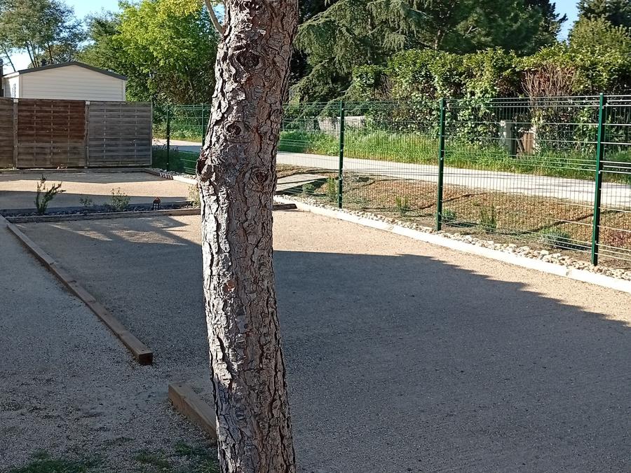 Mobilhome 4 personnes - Eco