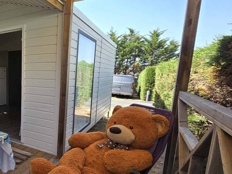 Mobilhome 4 personnes - Mobil-home MALAGA Confort avec terrasse intégrée 8 m² 4 pers 9