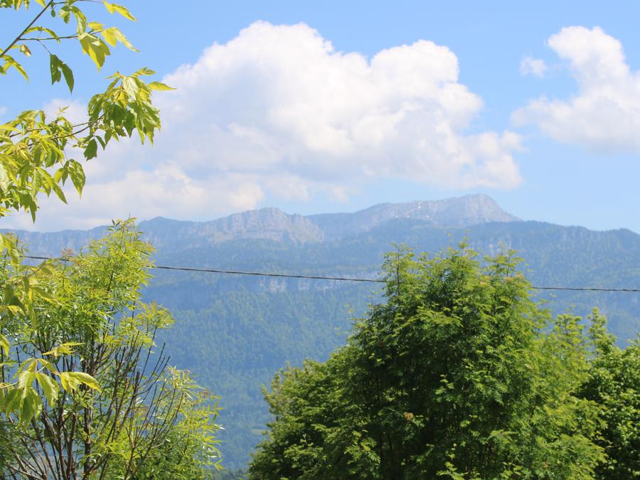 Chalet 5 personnes - GENTIANE 9