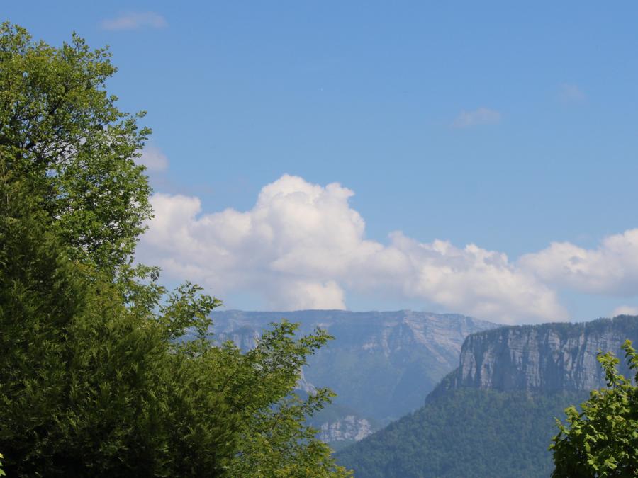 Chalet 4 personnes - TULIPE 10