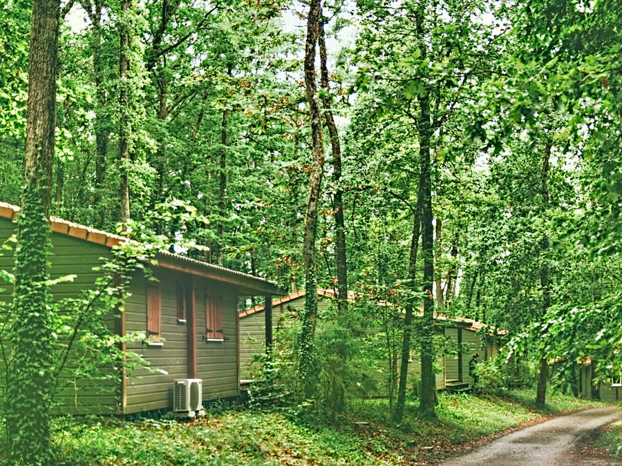 Chalet 6 personnes 13