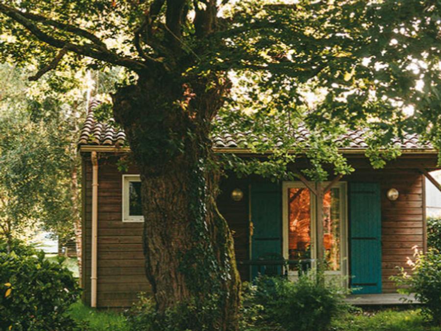 Chalet 4 personnes 7