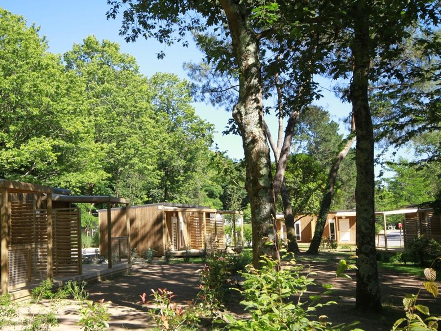 Chalet 2 personnes - Chalet Petit Ecolier 1 chambre - 16m² 3