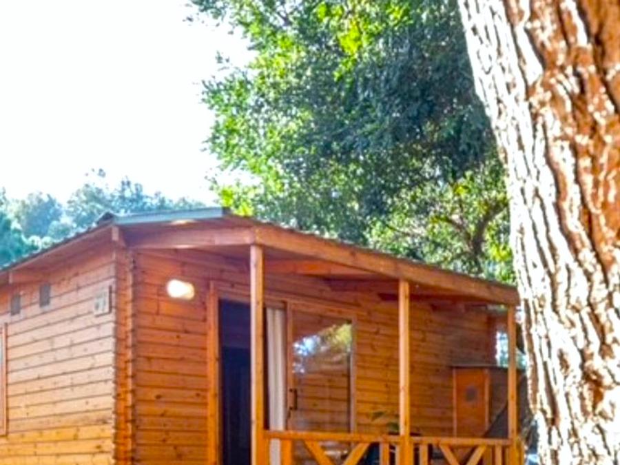 Chalet 3 personnes - Chalet Bonsai 1