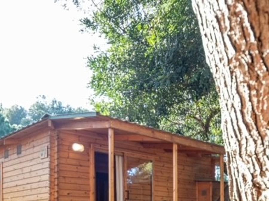 Chalet 3 personnes - Bonsai 8