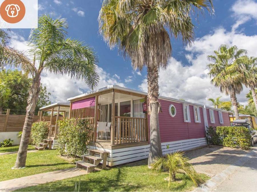 Bungalow 2 personnes - SUNSET - Prix pour 2 personnes 7