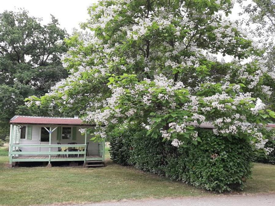 Mobilhome 4 personnes - 18 M² 0