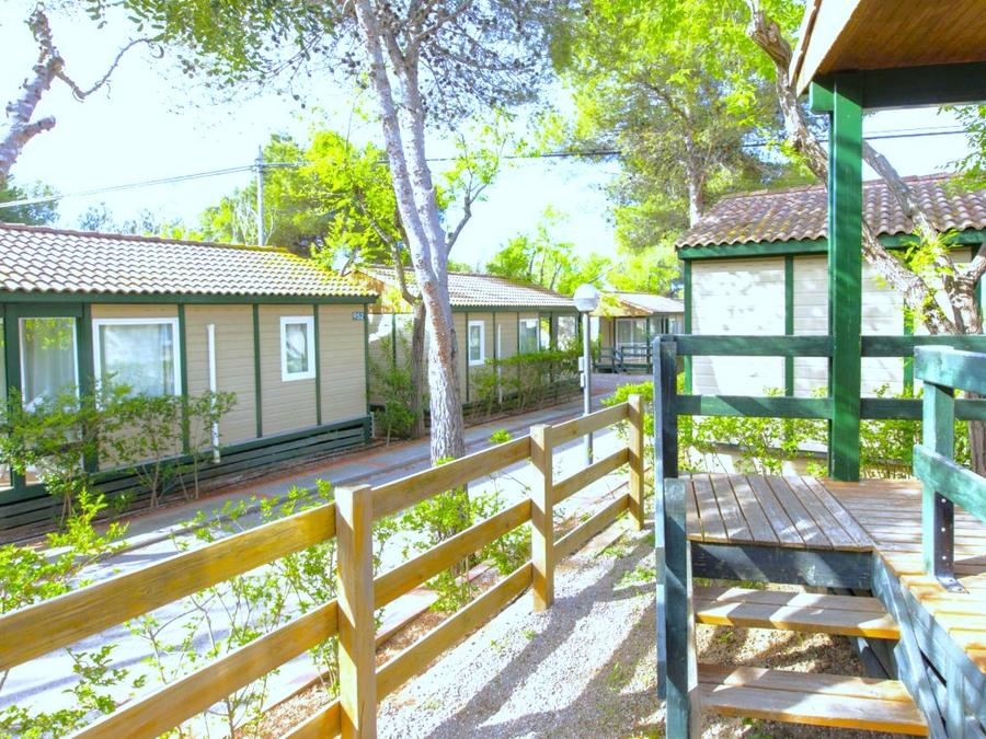 Bungalow 6 personnes - S-950 3