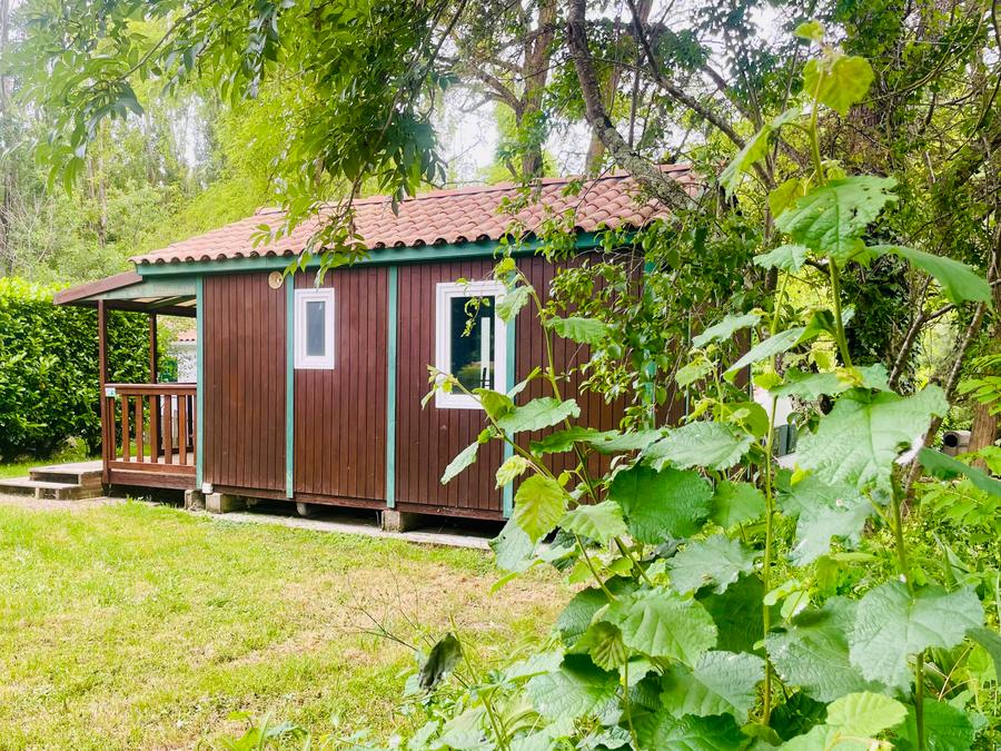 Chalet 5 personnes - Chalet Figuier Standard 20m² - 2 chambres + Terrasse couverte - 5 pers. 4
